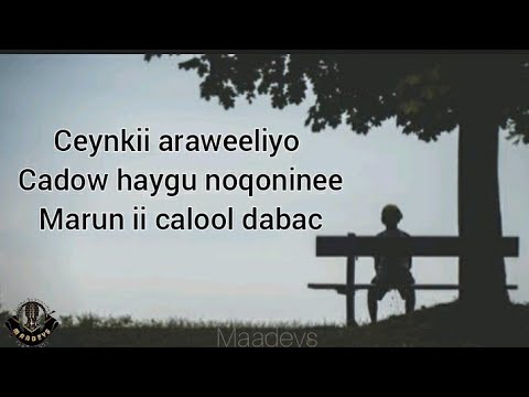 HEES Araweelo Axmed Cali Cigaal Original Lyrics