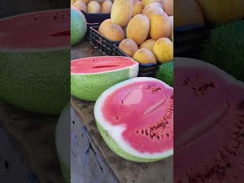 فيديو: البطيخ لحدائق المنطقة 5: اختيار نباتات البطيخ الصيفية القصيرة