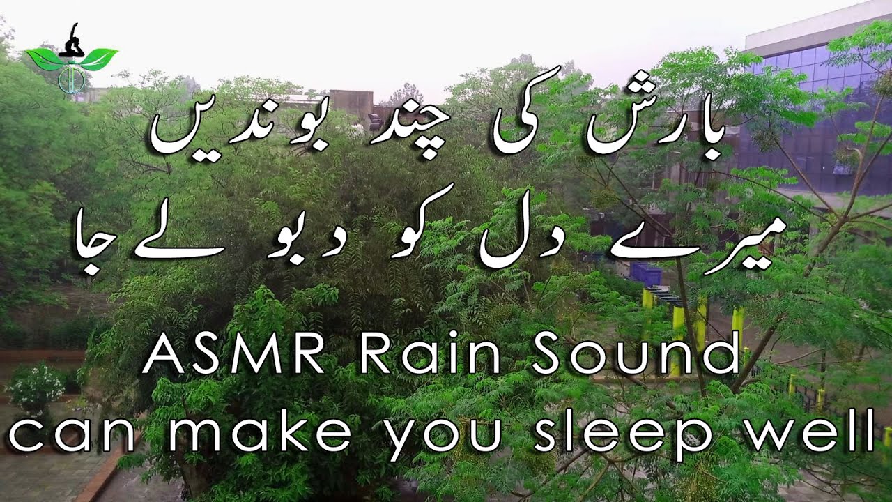 ASMR Rain Sound for Sleep | Sleep Sound | Nomadic ambience