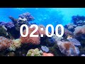 2 minute timer relaxing music lofi fish background