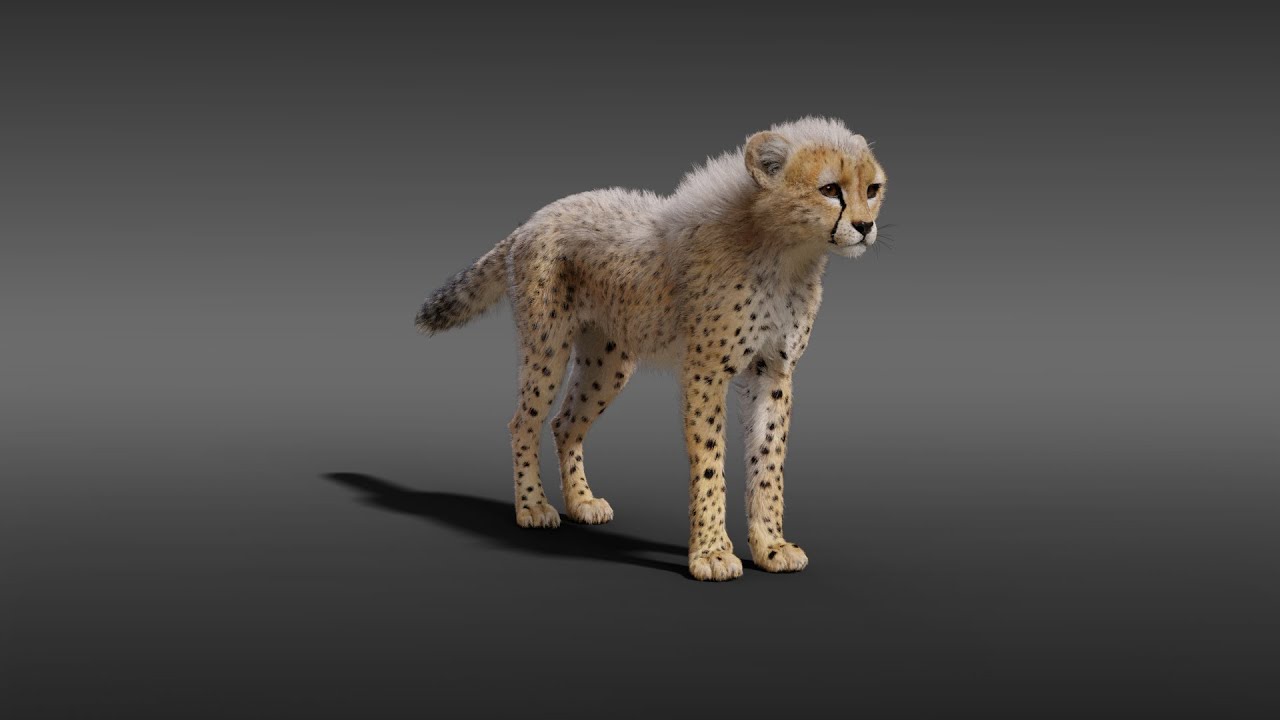CGI 3D Animated Animal Showreel in Blender | Running Cheetah - YouTube