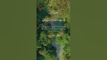 تلاوة عطرة لسورة التين بصوت الشيخ ماهر المعيقلي.      #القرآن_الكريم #اكسبلور #المصحف #راحة_نفسية