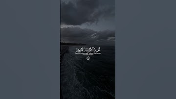 ياسر الدوسري | سورة الواقعة🤩