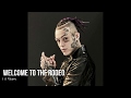 Lil Skies - Welcome To The Rodeo (Lyrics Video)