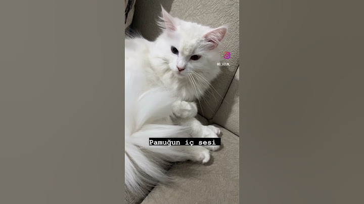 Pamuğun iç sesi