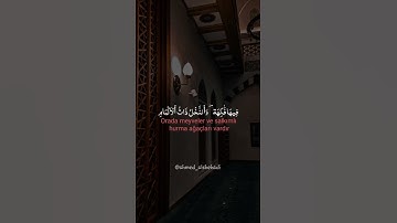 تلاوة خاشعة من سورة الرحمن