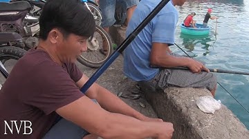 Câu Cá Biển | Câu Cá Giò Cần Thủ Giật Liên Tục Thấy Ham | Cảng Đại Lãnh | Físhing