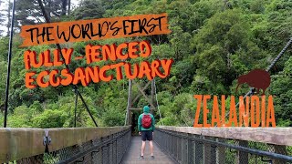 Exploring the WORLD'S FIRST fully fenced eco-sanctuary - ZEALANDIA