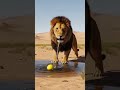 🌿🦁 :The Lion Who Saved a Lemon | A Heart Touching Story of Kindness 🍋#shorts #trending #shortsfeed