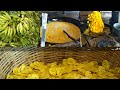 BANANA CHIPS FACTORY/How to make banana chips.