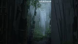 A Peaceful Night with Mozart 💧 Healing Water Sounds for Ultimate Relaxation - Deep Sleep