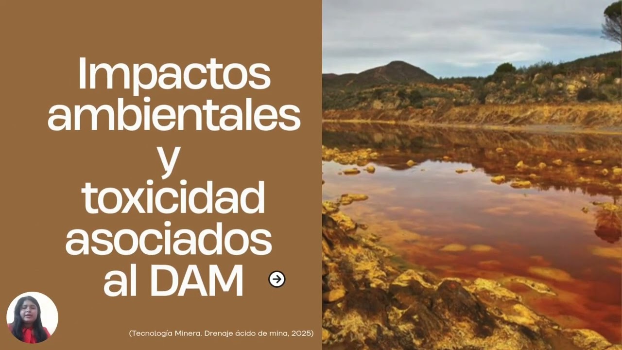 Drenaje Ácido de Minas (DAM)
