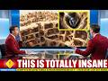 Scientists Revisited Turkey’s Hidden Underground City — The Mystery Just Got Worse