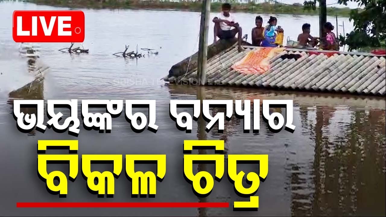 Live | ଭୟଙ୍କର ବନ୍ୟାର ବିକଳ ଚିତ୍ର | Odia News | Flood In Balasore | Odisha