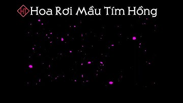 Hiệu Ứng Cánh Hoa Rơi Màu Tím Hồng