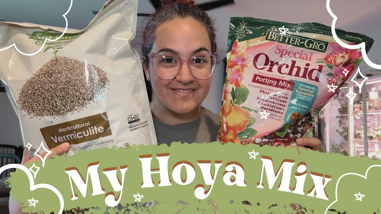 My Hoya Potting Mix | Repot With Me 🪴