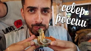 Жизнь на Севере России. Пробую ежа и гребешки Жизнь на Севере России. Пробую ежа и гребешки