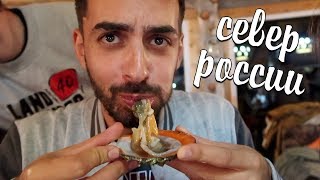 Жизнь на Севере России. Пробую ежа и гребешки