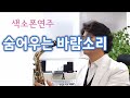 숨어우는 바람소리 이정옥 (김연숙) 색소폰연주 안태건