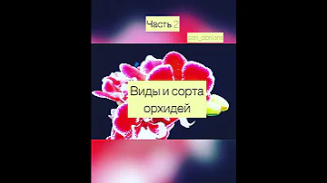 КАК НАЗЫВАЮТСЯ ВАШИ ОРХИДЕИ ПО ФОТО. СОРТ И НАЗВАНИЕ.ЧАСТЬ 2