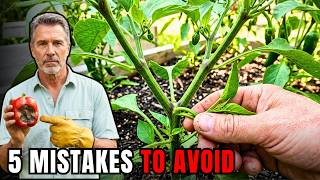 5 Mistakes You Must NEVER Make When Growing Peppers