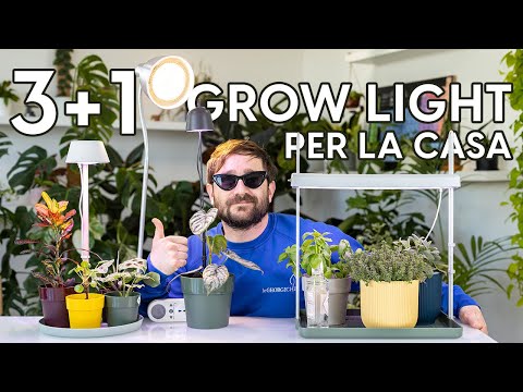 Video: Differenza tra luci a LED e luci progressive: le luci a LED sono migliori per le piante