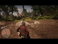 Red Dead Redemption 2 did you hear pearson?