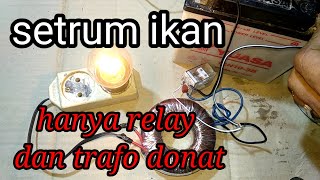 cara membuat SETRUM IKAN sederhana || dari RELAY 12 volt