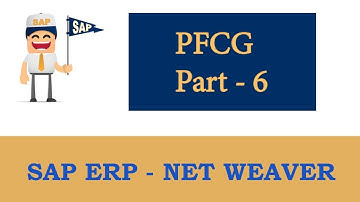 ERP SAP Basis - Net Weaver | Transaction PFCG (Process Flow) Part 6 | SAP |