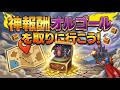 [ドラクエ１０]りゅうおう再演！