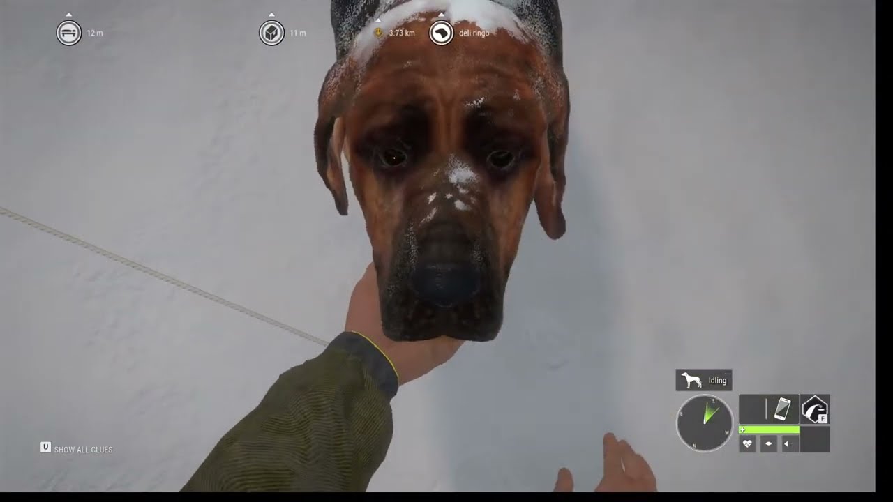 AV BASLADI...thehunter call of the wild