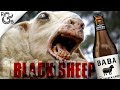 Black Sheep 2006 Review Brew