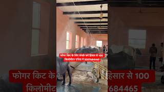#dairyfarm #short #shorts #shortvideo #trending #popular #video