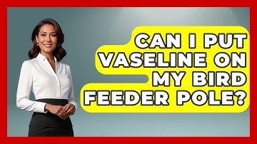 Can I Put Vaseline On My Bird Feeder Pole? - Bird Watching Diaries