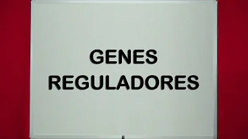 ¿Cuál es la función de los genes estructurales?