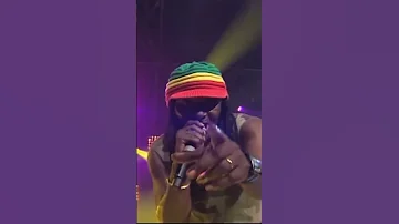 Alpha Blondy Sweet Fanta Diallo Shorts 