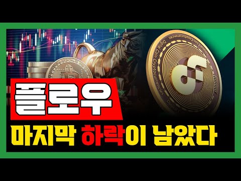 플로우 플로우코인 플로우전망 마지막 하락이 남았다 충격적인 2024년 목표가 공개 