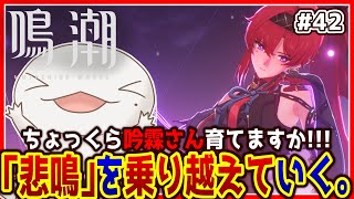 【 #鳴潮 】オオサンショウウオ「漂泊者」になる #42 【両生類系人外VTuber/半崎ウイネコ】【 #WutheringWaves 】