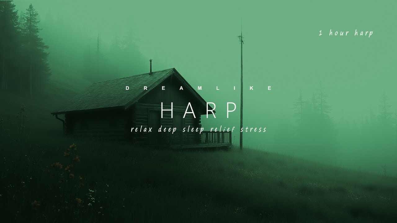 1 Hour of Eerie Harp | Mysterious Music for a Foggy Forest, Solitude & Deep Focus