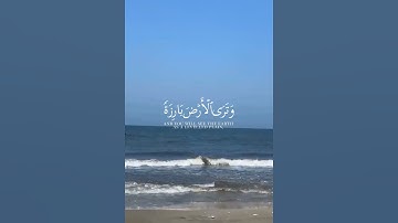 #القرآن_الكريم #بسم_الله_الرحمن_الرحيم #اكسبلور #راحة_نفسية #المصحف #سورة_البقرة #حالات_واتس #لايك