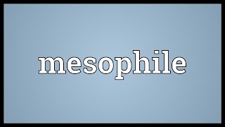 Mesophile Meaning