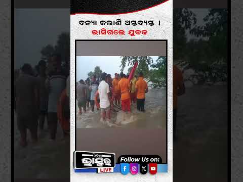 ମାଡି ଆସିଲା ପାଣି ଗଛରେ ଓହଳି ରହିଲେ ଯୁବକ  #sonepur #HeavyRainfall #flood