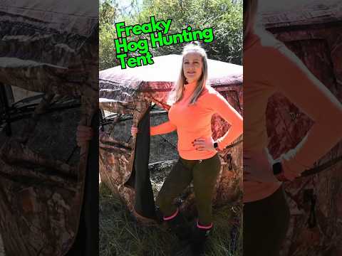 Hog Hunting Ground