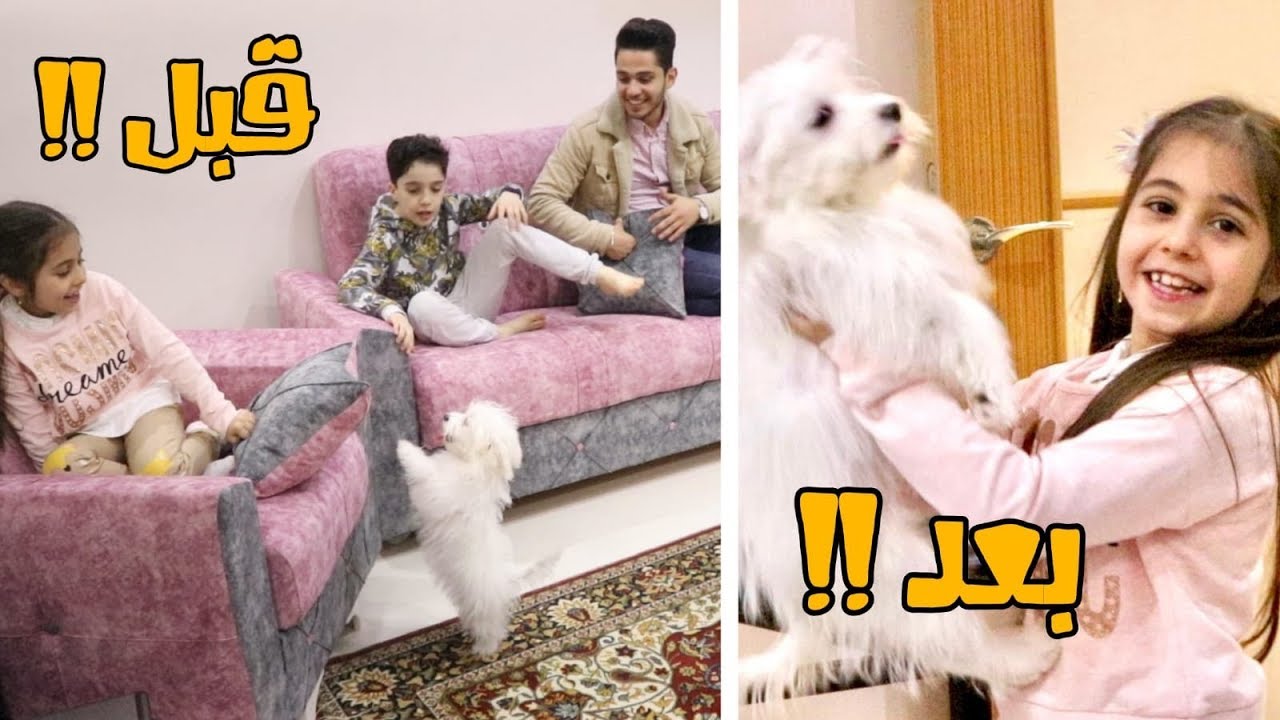 مفاجئة الكلب باختي الصغيرة وقفزت من الخوف