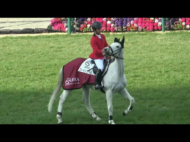 福永祐一引退セレモニーday ミツバを筆頭に個性を発揮する誘導馬たち