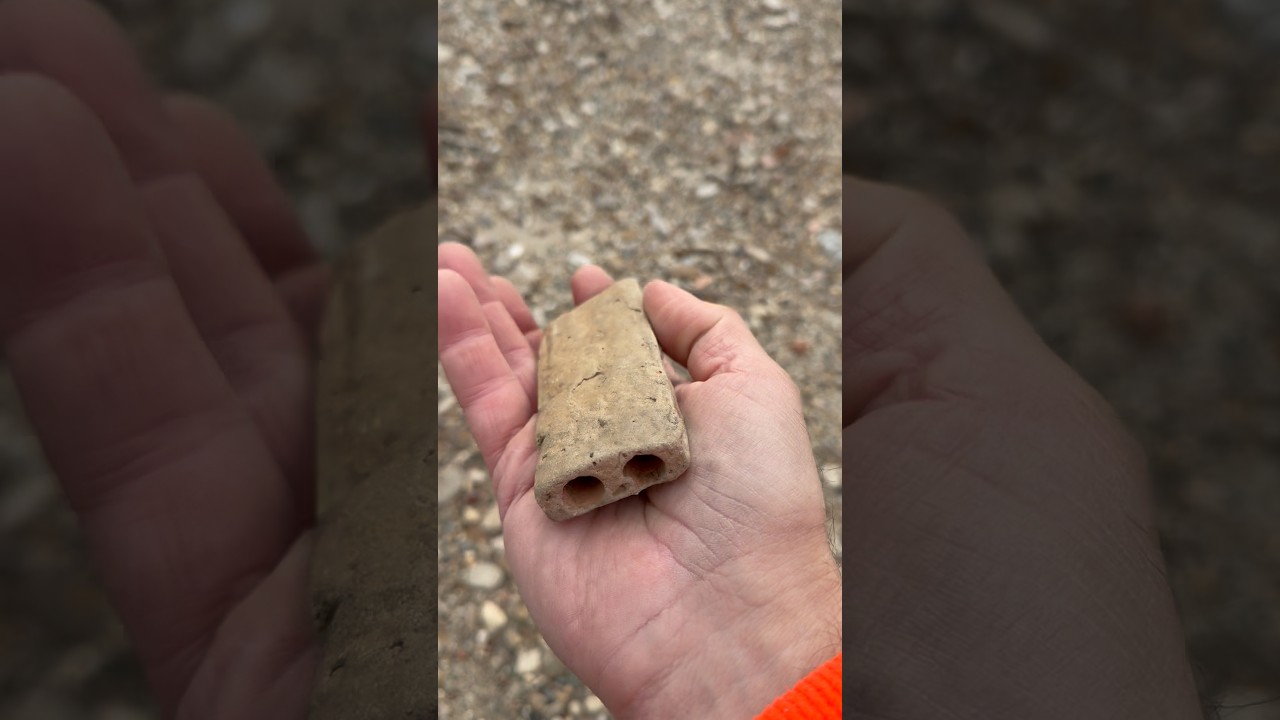 Я выбросил древнюю реликвию? 