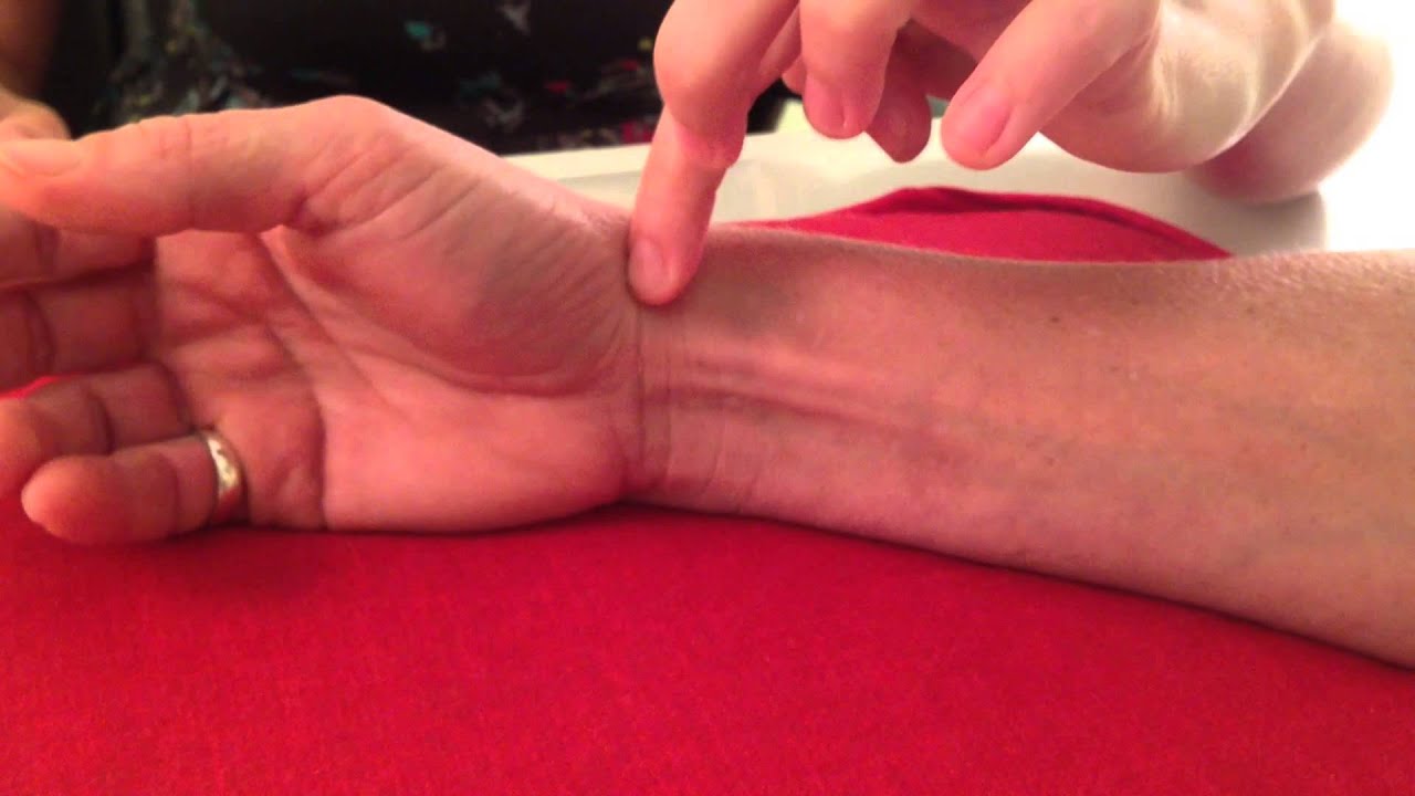 Demonstration of Contemporary Chinese Pulse Diagnosis