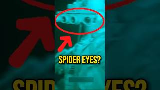 Why Navy SEALs Wear $40,000 Night Vision?