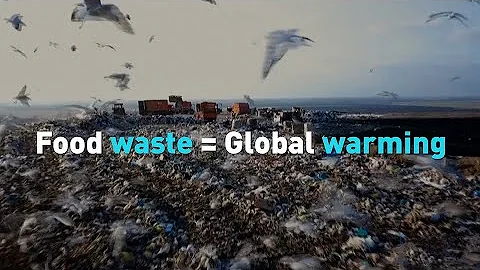 Food waste = Global warming