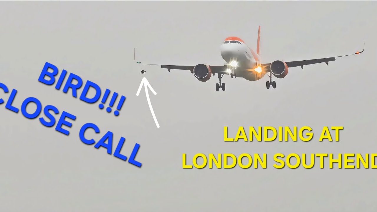Zero Visibility LANDING at LONDON Southend AIRPORT